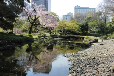 小石川後楽園の庭師の親方による庭園ガイド！「庭さんぽ～大堰川の修景編～」を3月16日に開催します！