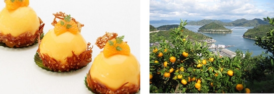 【左】2017年度「阪急阪神第一ホテルグループ 料理コンテスト」審査員特別賞受賞作品「まるまるみかん」(受賞者:呉阪急ホテル パティシエ 部谷 遥香)【右】豊町 ミカン畑
