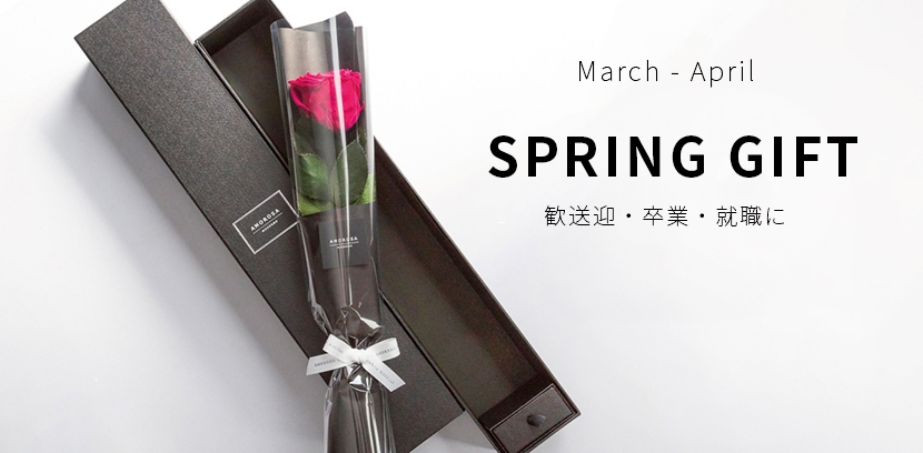 AMOROSA MODERNO SPRING GIFT
