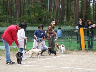 富士スバルランド　ドギーパーク 2009年10月11日（日）　「ドギーパークの大運動会」開催！