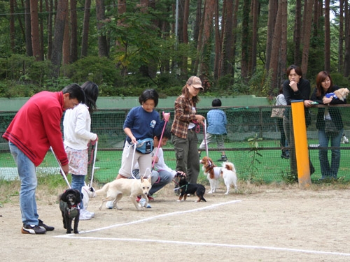 昨年の「ドギーパークの大運動会」の様子