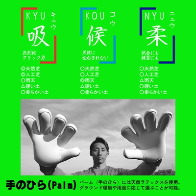 手のひら(パーム)