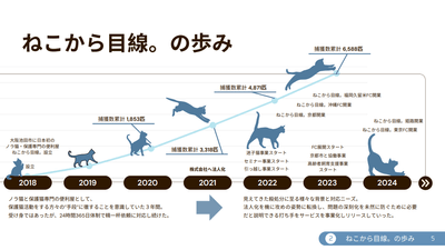 ねこから目線。の歩み