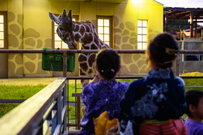 夜の動物園