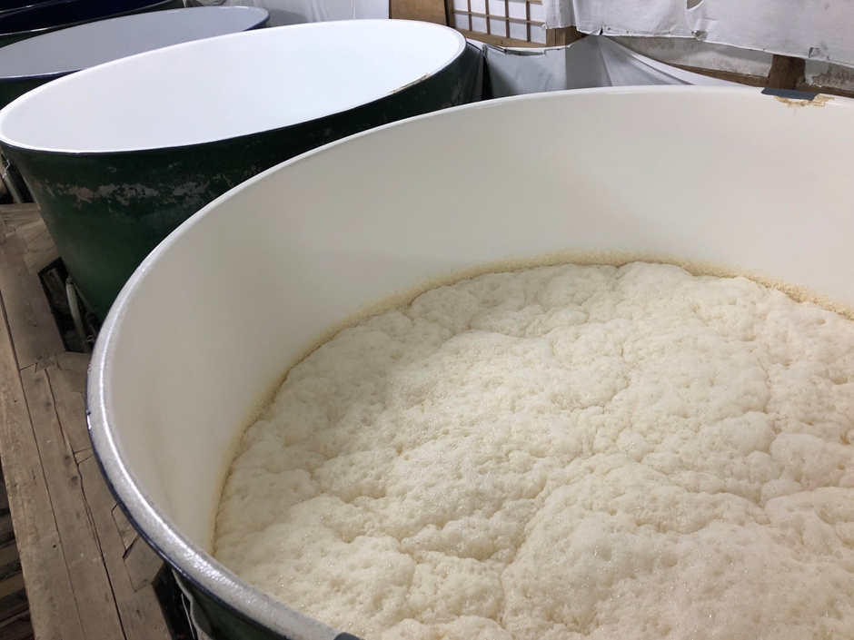 日本酒になる前段階、醪(もろみ)