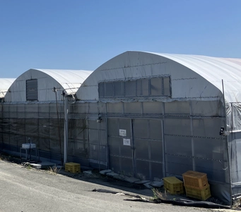 「業務用の八百屋」最大手が農業に新規参入　 25年9月、熊本・玉名市にて自社農場を開設