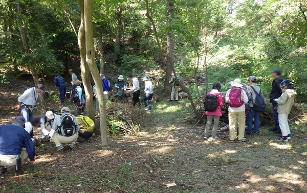 何種類見つけられるでしょう？