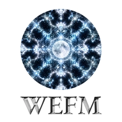 世界経済フォーラムメディアジャパン(WEFM)