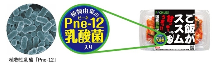 当社独自の植物性乳酸菌