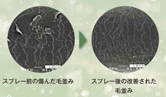 ヘアケアとしての効果