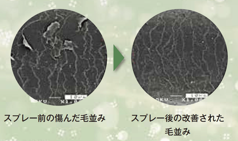 ヘアケアとしての効果