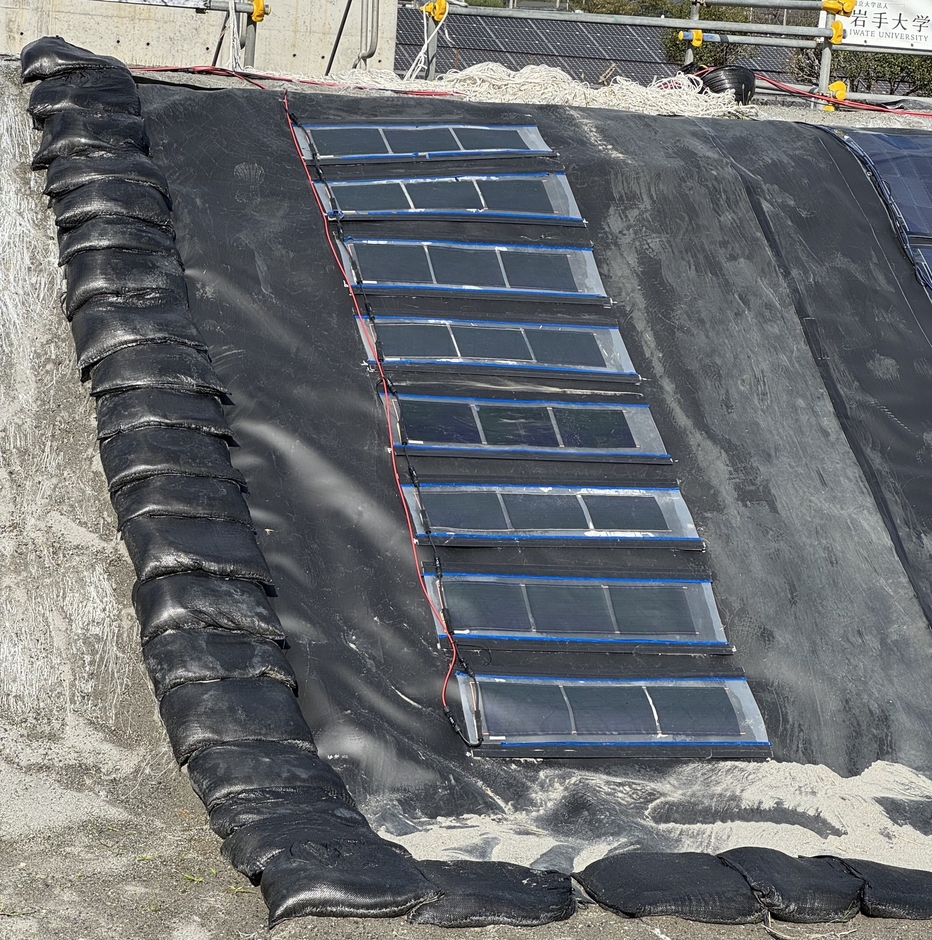 本実証試験の様子