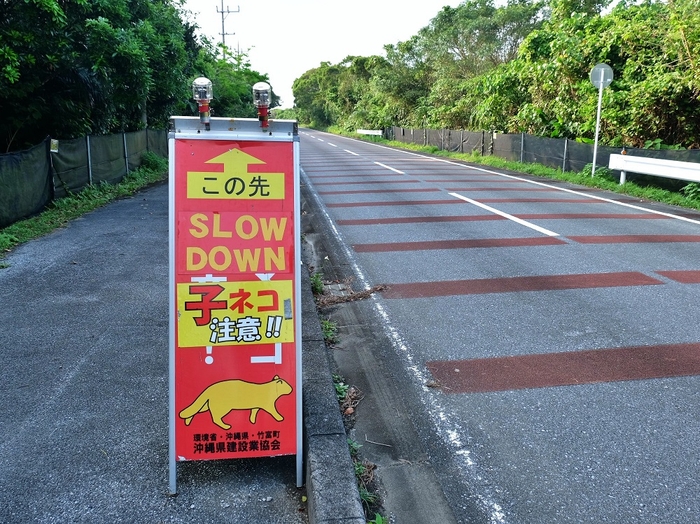 イリオモテヤマネコの目撃情報が多い道路