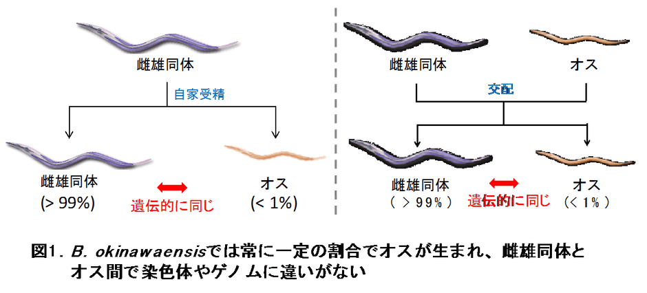 図1