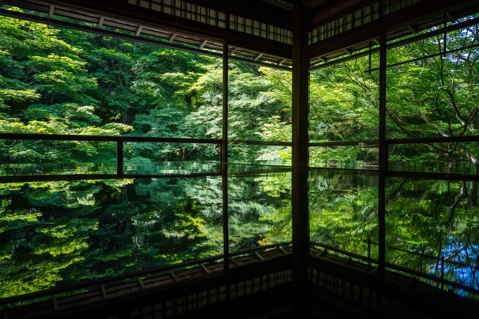 鏡のように映る「机もみじ」（画像提供：瑠璃光院）