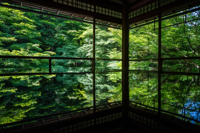 鏡のように映る「机もみじ」（画像提供：瑠璃光院）