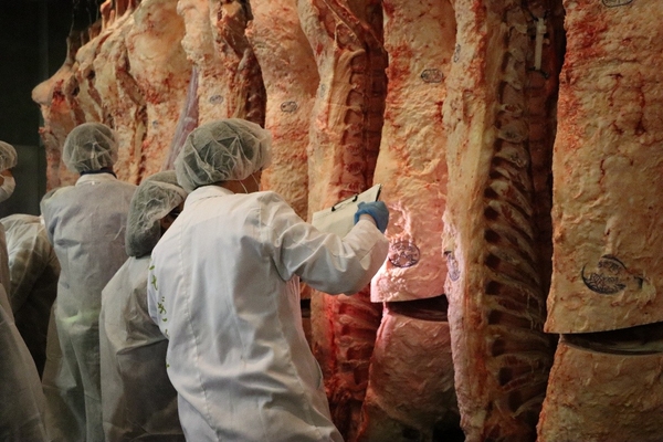 市場内で枝肉を見学する高校生(写真は昨年実施時)