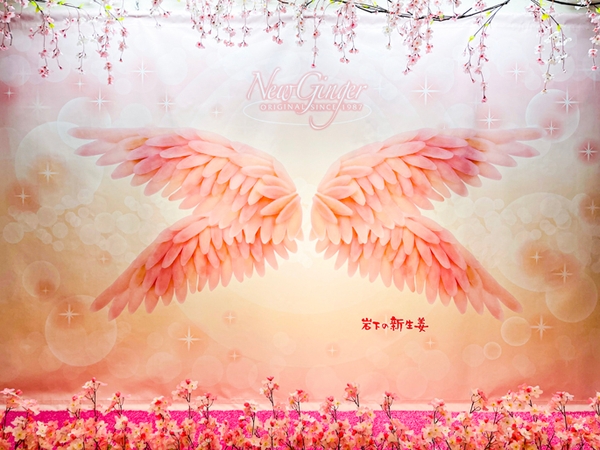 【フォトスポット②】岩下の新生姜ウイング～桜バージョン～