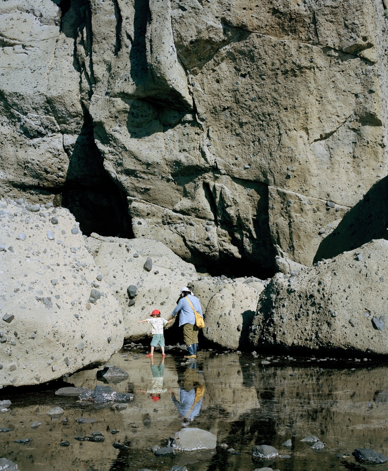 「ひつじの時刻、北風、晴れ」より from the series "Hour of the Sheep, North Wind, Sunny" 2018