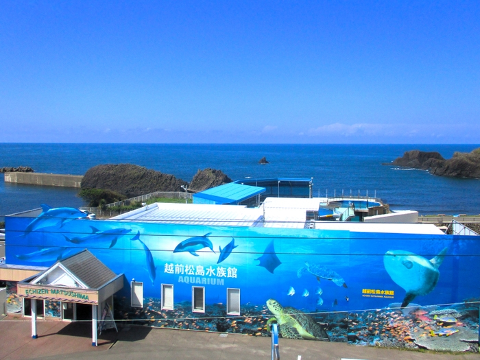 施設全景。建物奥は「越前松島」の海岸