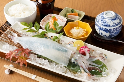 博多 魚蔵1