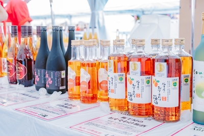 飲み比べ会場