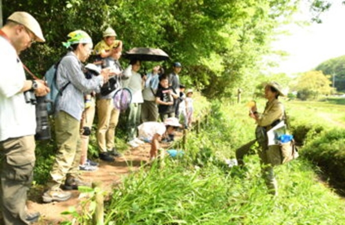 パークレンジャーによる観察会の様子