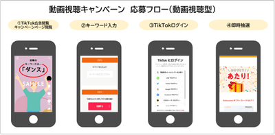 動画視聴キャンペーン　応募フロー