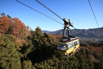 秋の宝登山ロープウェイイメージ