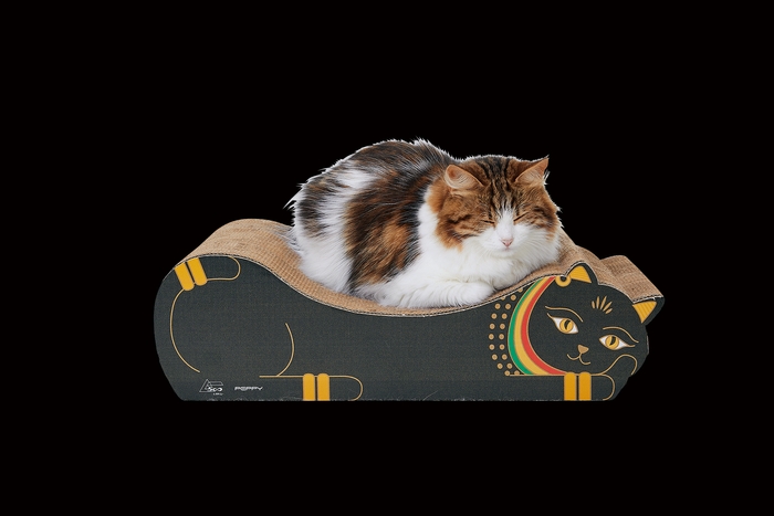 バステト神のうたた寝爪とぎ 表