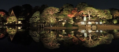 11月23日（水・祝）～12月４日（日）「庭紅葉の六義園　夜間特別観賞」