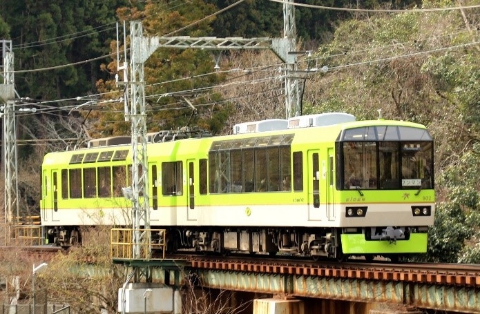 「青もみじきらら」