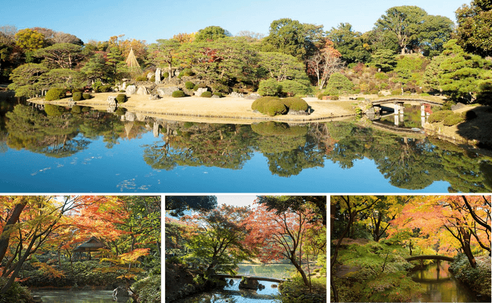 秋の六義園の風景