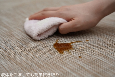 ネオタタミメンテナンス(拭き取り)