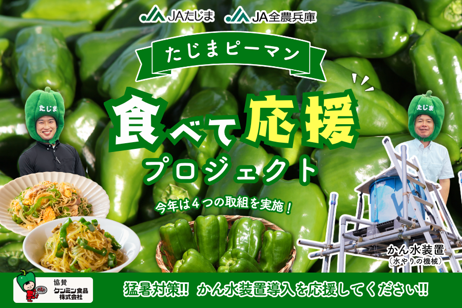 【たじまピーマン食べて応援プロジェクト】今年も始動!
対象商品の売上1箱につき100円がかん水(水やり)装置導入支援金に!