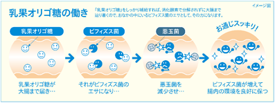 乳果オリゴ
