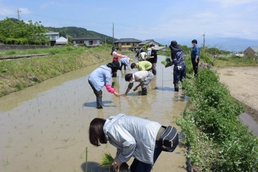 【多摩大学】ジェロントロジー企画第9弾「田植え×講座」3年ぶりに実施