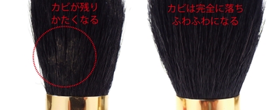 比較画像 5