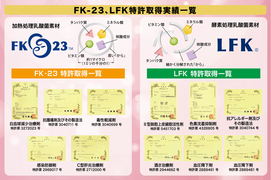 FK-23、LFK特許取得実績一覧