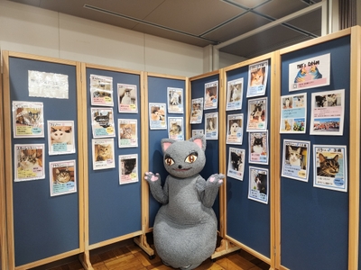 100枚以上の保護猫写真を掲示(前回の様子)