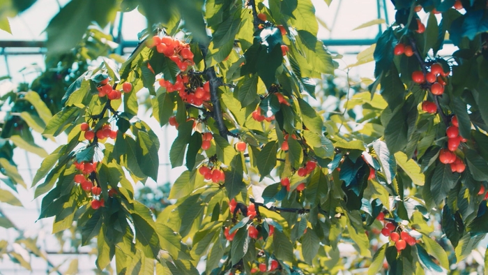 STAY YAMAGATA画像3