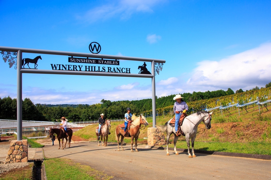 ワイナリーヒルズランチ