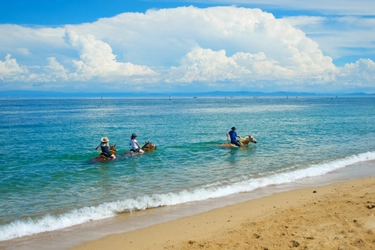“海に入る乗馬体験”×フレンチ＆宿泊！淡路島で過ごす極上の夏
Auberge フレンチの森『マリンライド体験付きステイプラン』7月より夏季限定提供！