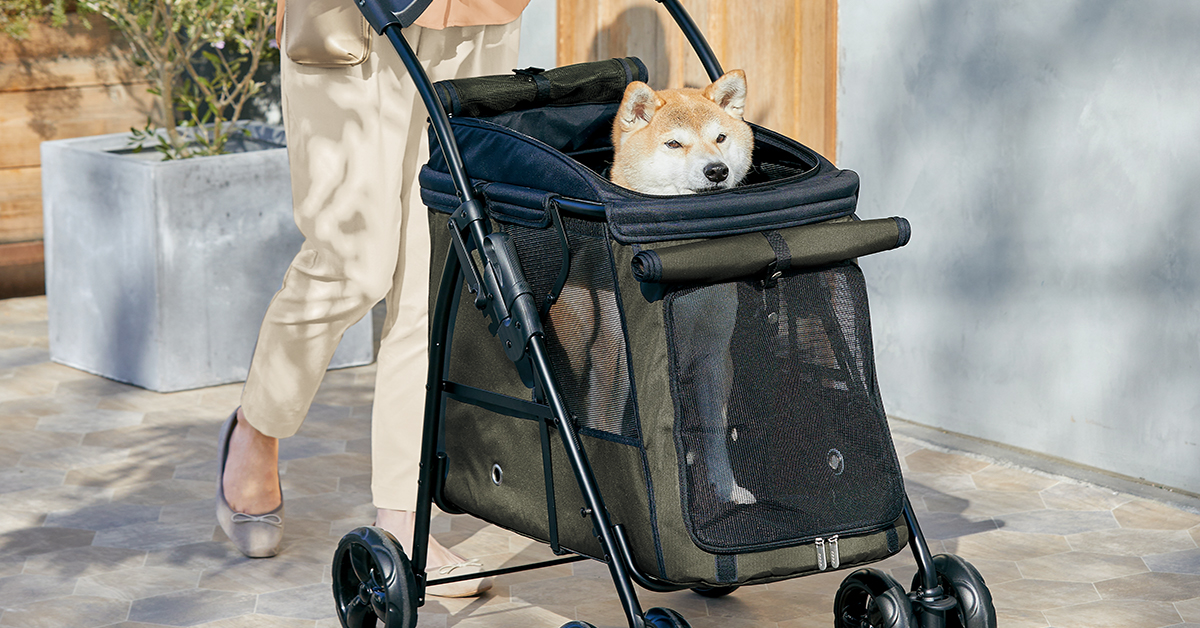 シニア犬ライフ応援・生活の質(QOL)向上！【ジェックス×ペピイコラボ企画】プレゼントキャンペーンスタート