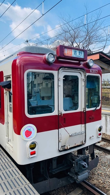 近鉄「あすかいちご列車」