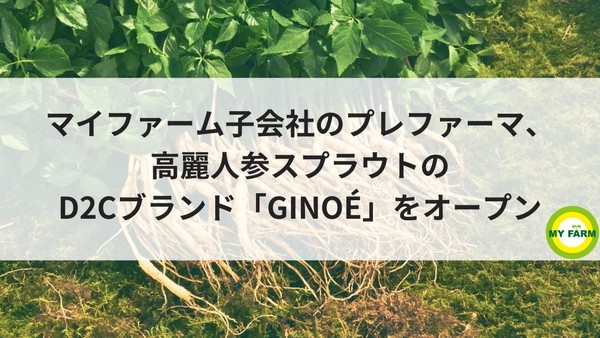 マイファーム子会社のプレファーマ、高麗人参スプラウトのD2Cブランド「GINOÉ」をオープン