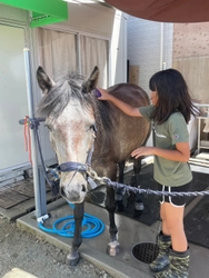 人気のキッズ乗馬、和種馬ホースランド