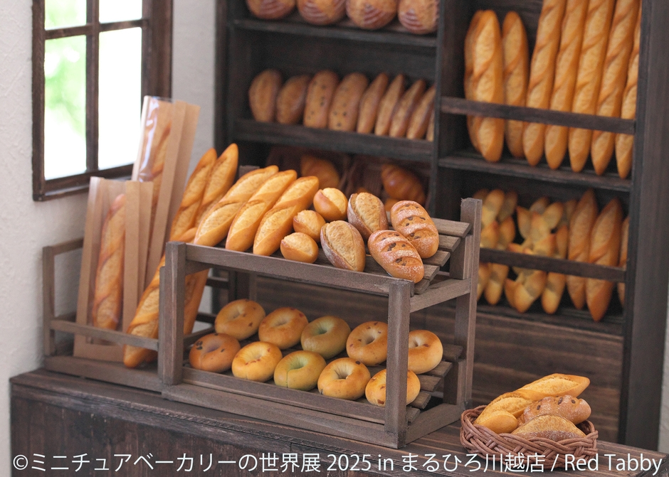 展示作品：Red Tabby(2)