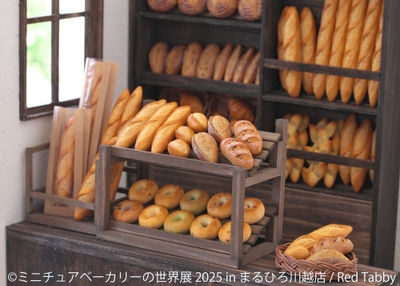 展示作品：Red Tabby(2)