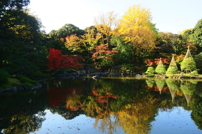 紅葉イメージ